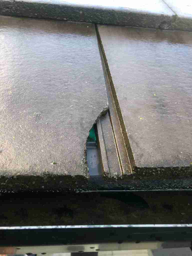 Flat Roof