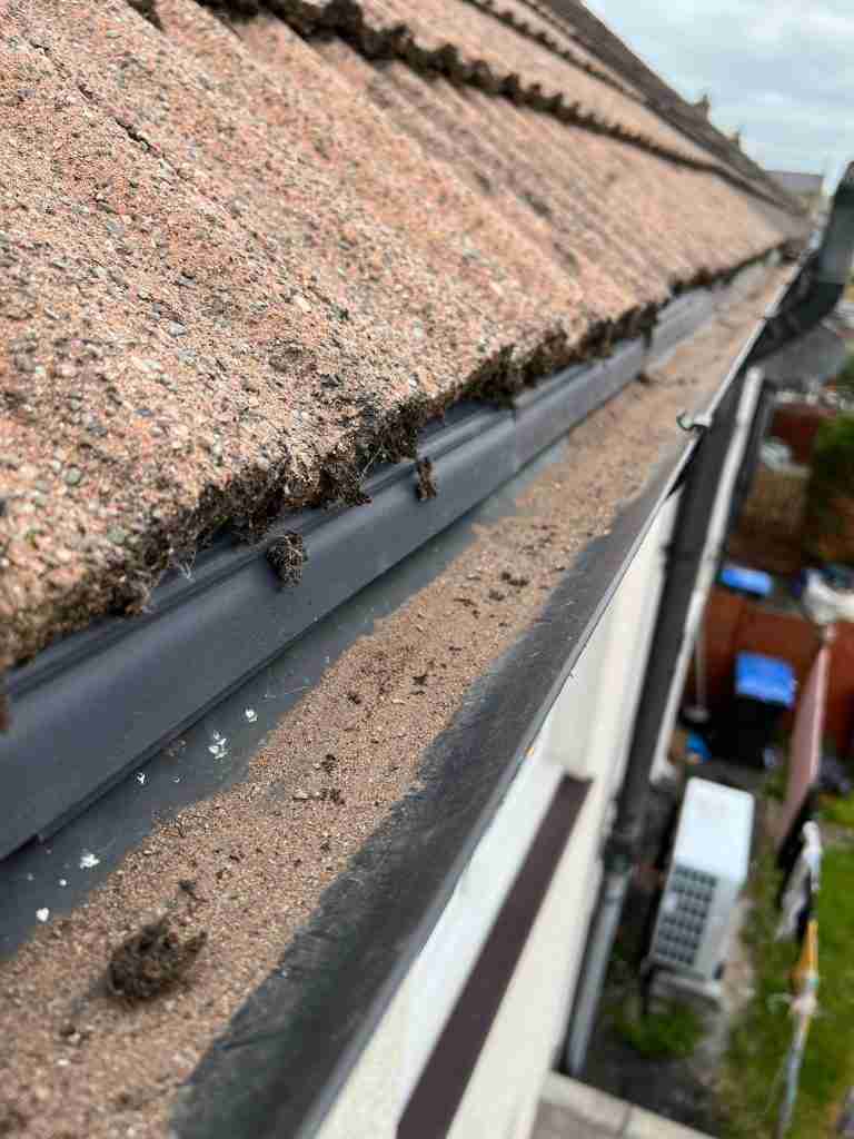 Gutter Repairs