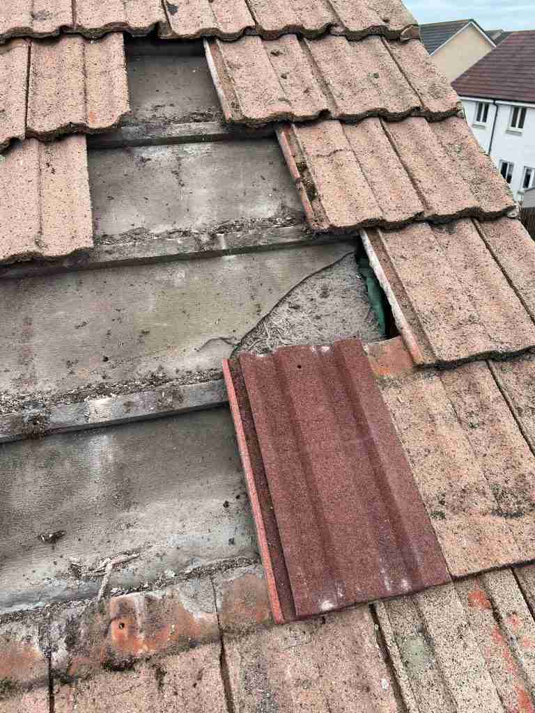 Damaged Roof
