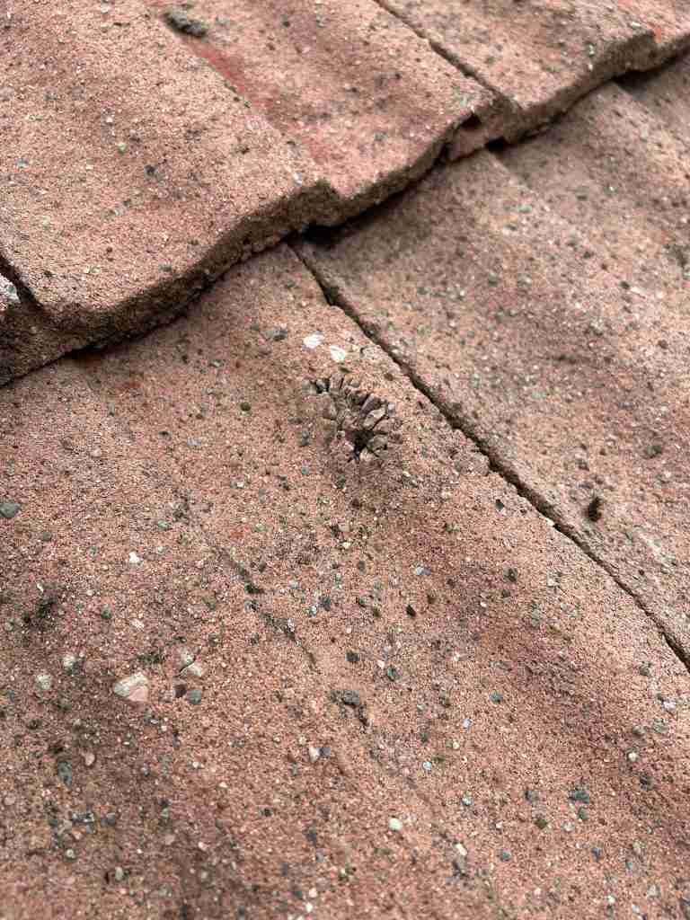 Damaged Roof