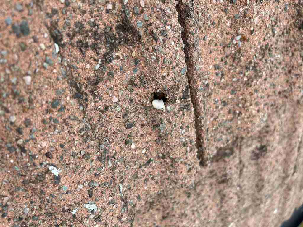 Emergency Roof Repairs