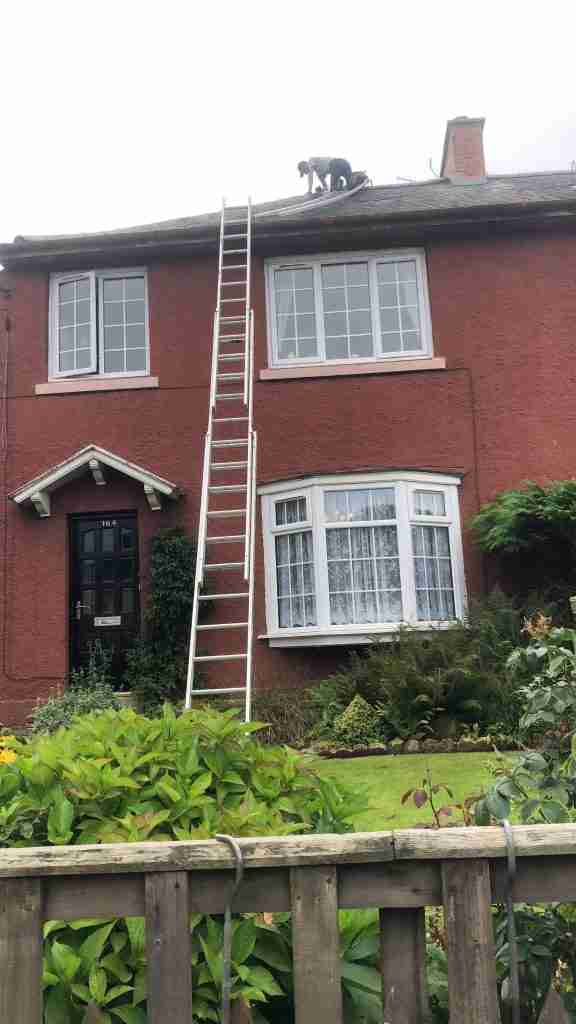 Roofing Repairs