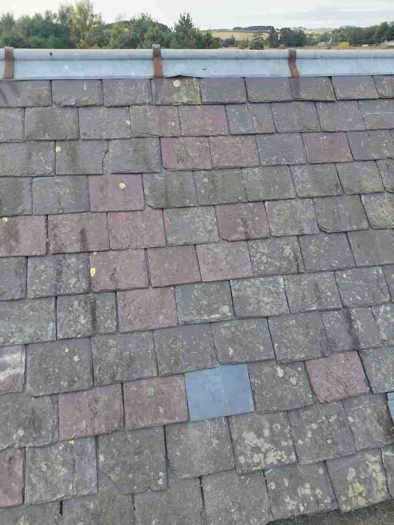 New Roof