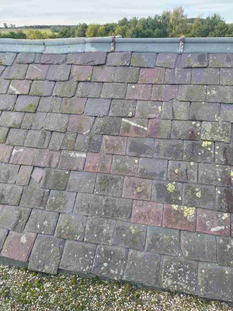 Tiled Roof