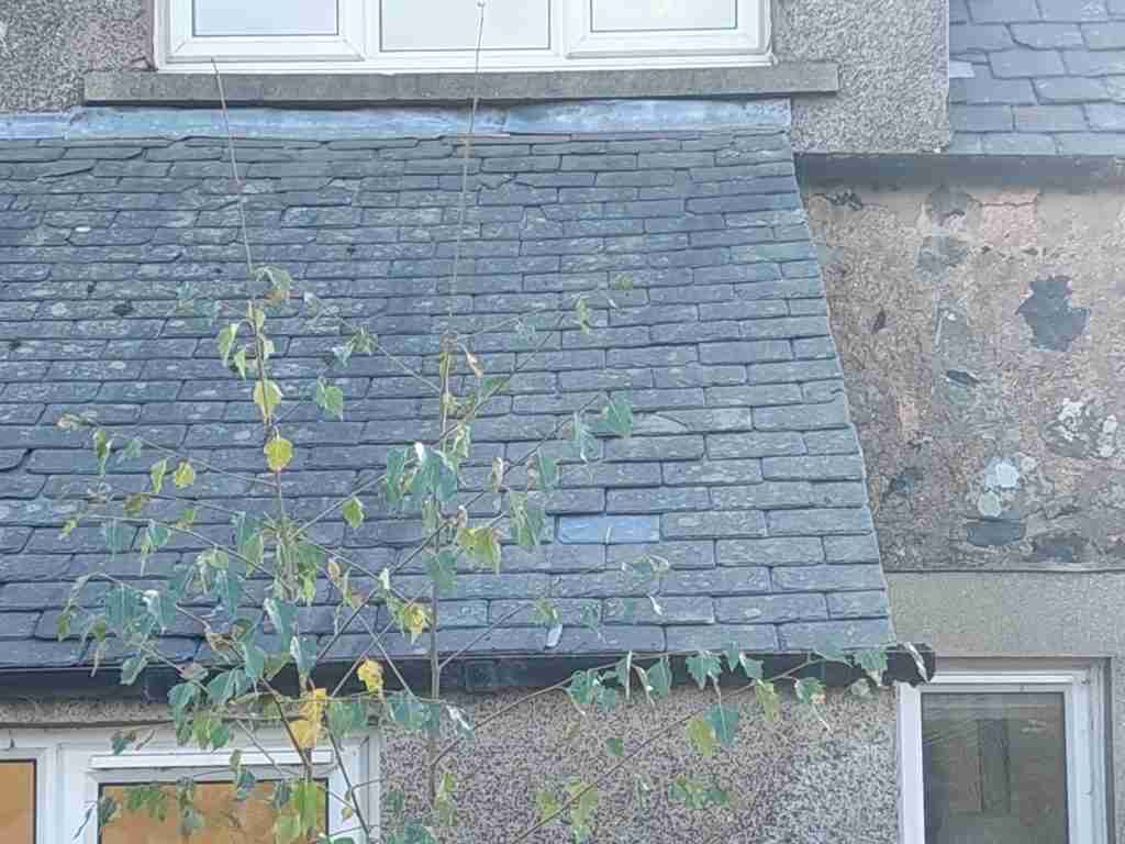 Slate Roof