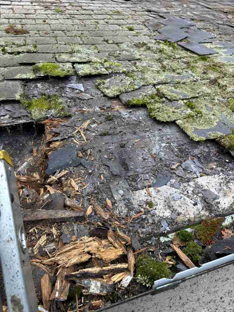 Local Roofer