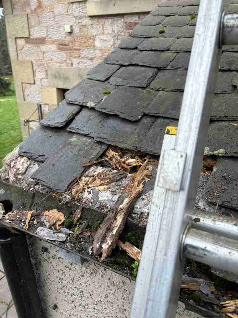 Broken Roof
