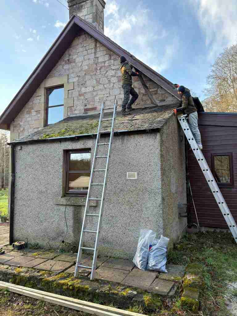 Local Roof Repairs